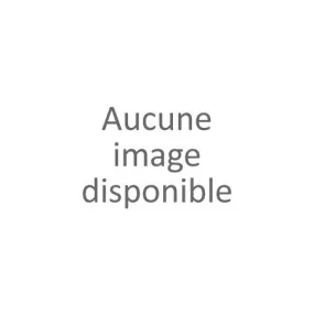 Chaussure confort gris femme (36-41)
